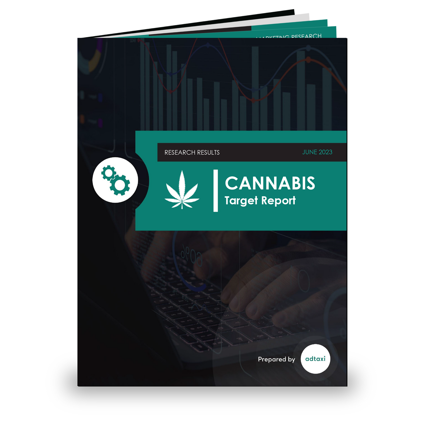 Cannabis - 2023 Target Market Analysis