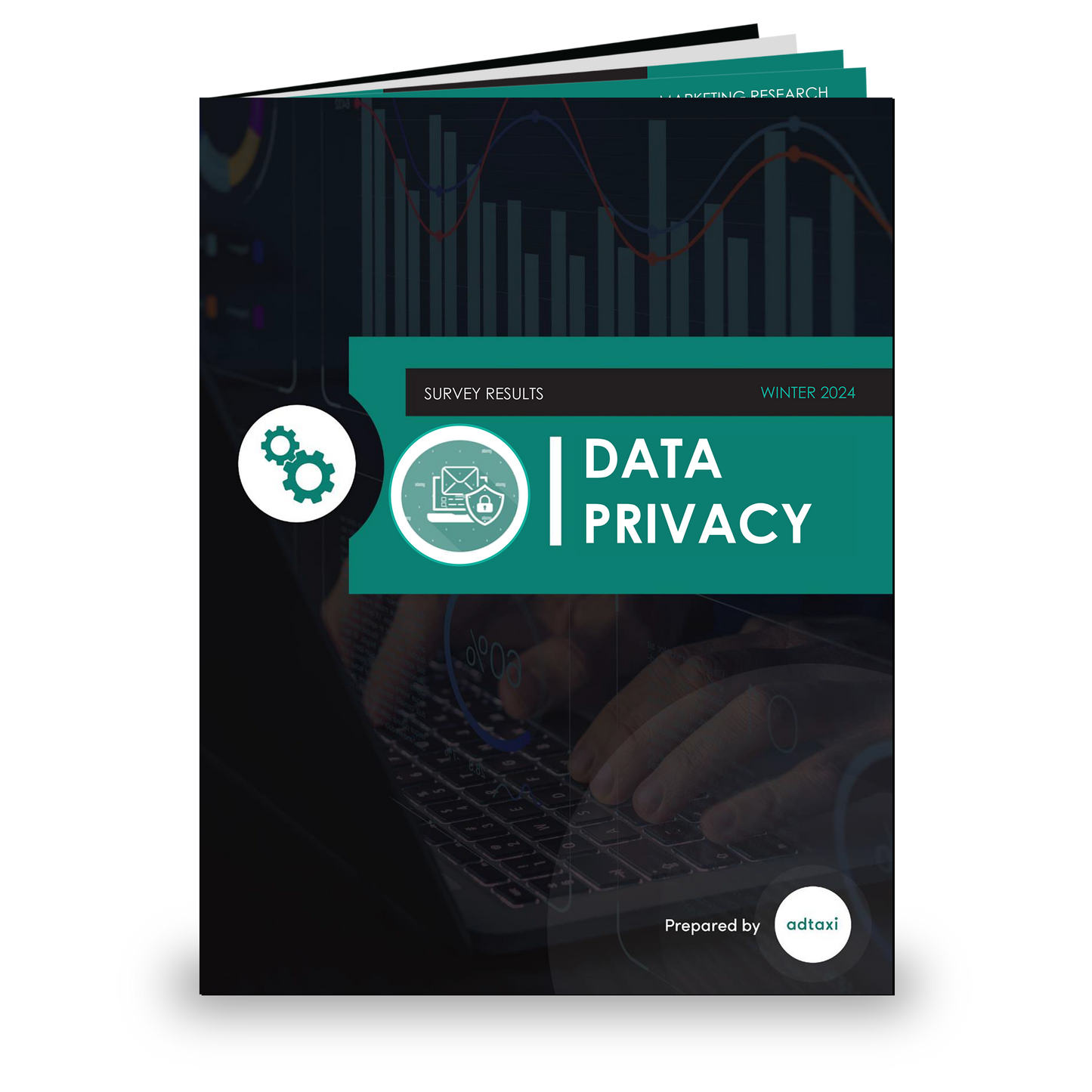 Data Privacy - 2024 Trends & Analysis